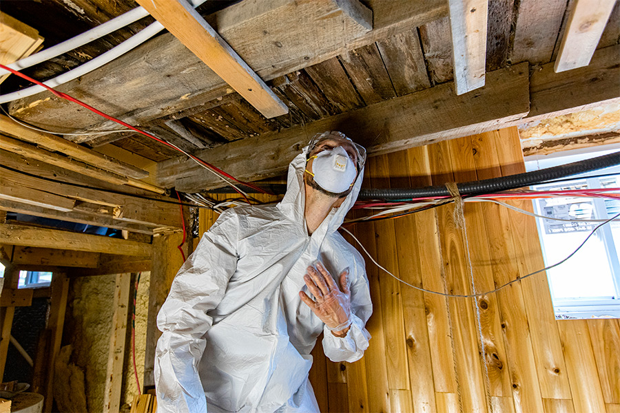 mold inspection rowlings md